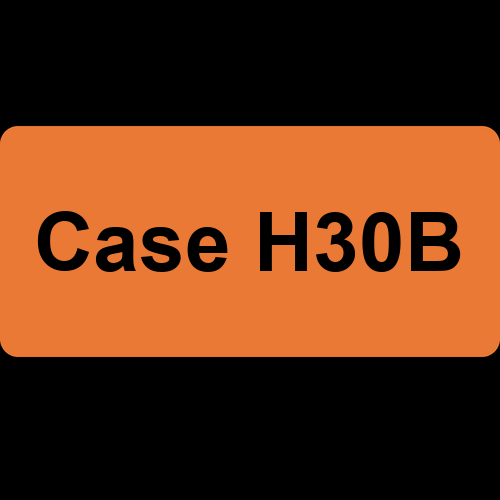 Case H30B